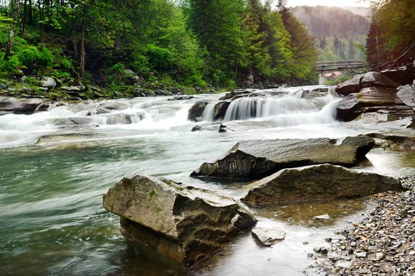 kayalar ve t arasında beyaz köpük ile dağ nehir akar