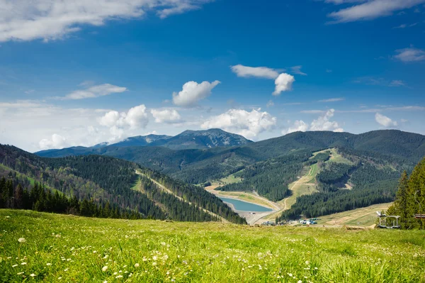 Hermosa vista sobre montañas y prados cubiertos de bosque — Foto de Stock