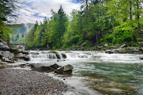 Río de montaña áspera con espuma blanca fluye entre las rocas y t —  Fotos de Stock