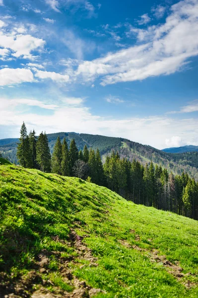 Prachtig uitzicht op bergen en weiden bedekt met bos — Stockfoto