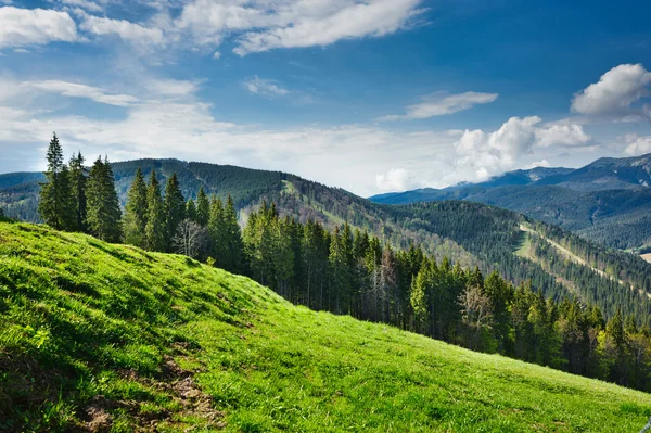 Hermosa vista sobre montañas y prados cubiertos de bosque — Foto de Stock