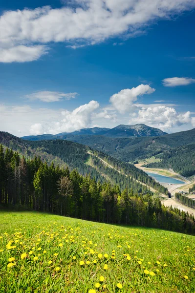 Gyönyörű kilátással a hegyekre és rétekkel borított erdő — Stock Fotó