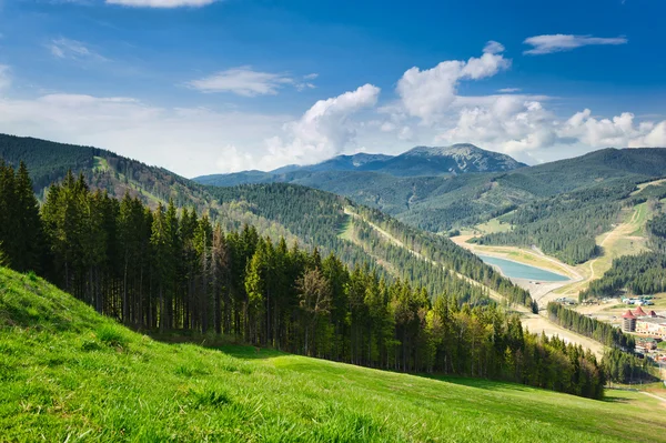 Bela vista sobre montanhas e prados cobertos de floresta — Fotografia de Stock