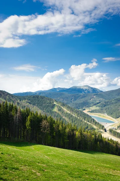 Hermosa vista sobre montañas y prados cubiertos de bosque — Foto de Stock