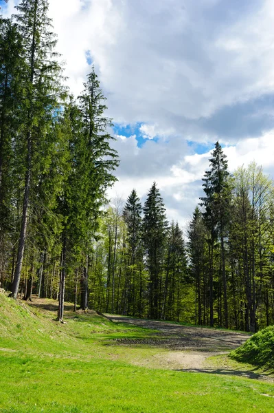 Bella vista sulle montagne e prati coperti di bosco — Foto Stock