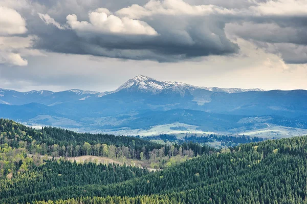 Vacker utsikt över berg och ängar täckt med skog — Stockfoto