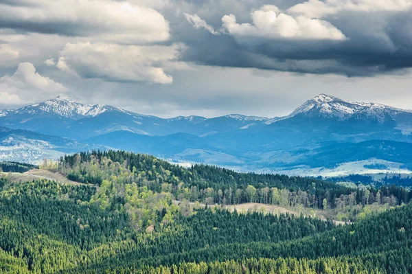 Schöne Aussicht auf bewaldete Berge und Wiesen — Stockfoto