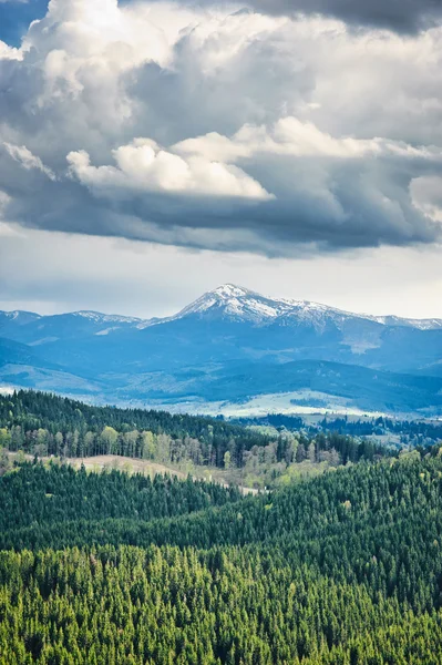 Belle vue sur les montagnes et les prairies couvertes de forêt — Photo