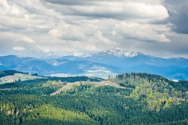 Bella vista sulle montagne e prati coperti di bosco — Foto Stock