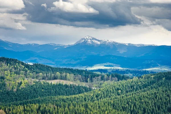 Bella vista sulle montagne e prati coperti di bosco — Foto Stock