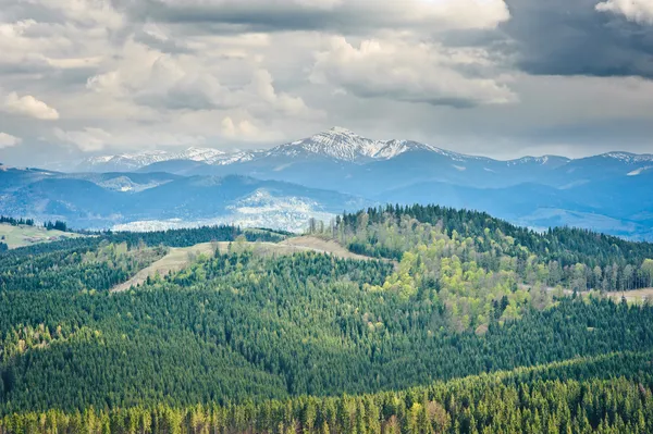 Bela vista sobre montanhas e prados cobertos de floresta — Fotografia de Stock