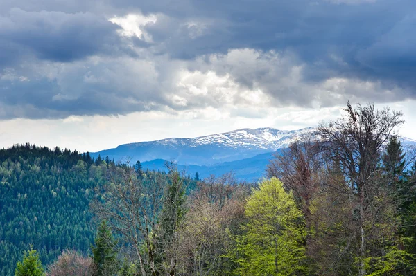 Bella vista sulle montagne e prati coperti di bosco — Foto Stock