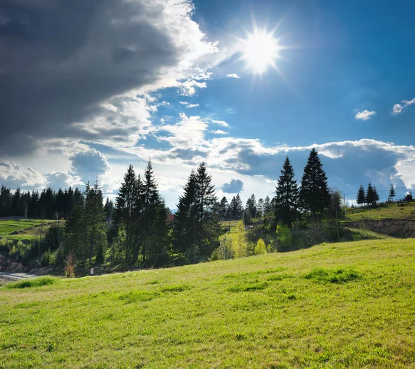 dağlar ve çayırlar güzel manzarasının ormanla kaplı