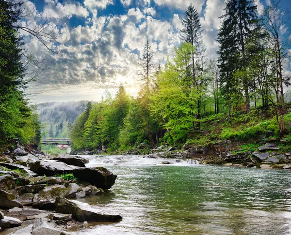 kayalar ve t arasında beyaz köpük ile dağ nehir akar