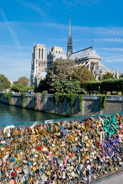 Notre Dame, Paris, view from Pont de l'Archevéché — Zdjęcie stockowe