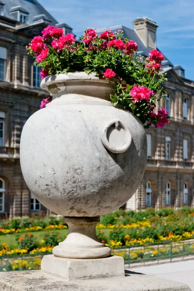 Luxemburgo jardins flores ornamentais, Paris — Fotografia de Stock