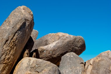 Rock kanguru, manyetik Island, Avustralya