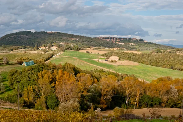 Paisaje toscano cerca de Montepulciano, Toscana — Foto de Stock