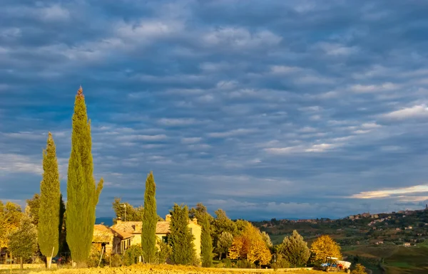 糸杉、イタリアのトスカーナの風景 — ストック写真