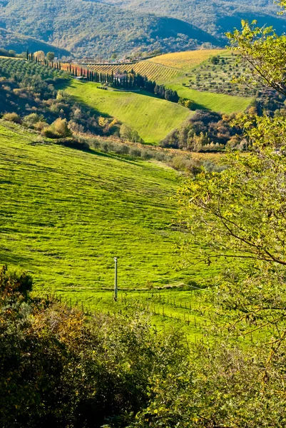 Toskanische Landschaft mit Zypressen, Italien — Stockfoto