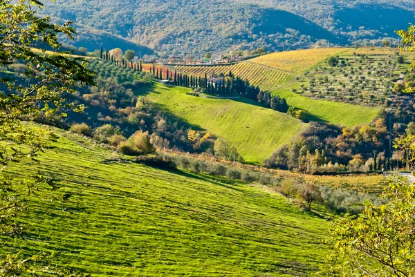 Toskánská Vila s cypřiši, Itálie — Stock fotografie