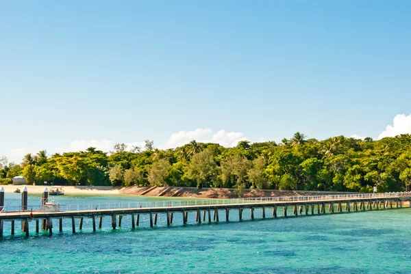 Isola di paradiso isola, verde, queensland, australia — Foto Stock