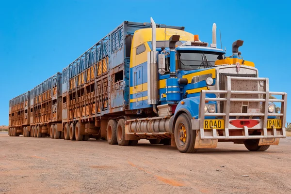 Trein van de weg in de Australische outback Rechtenvrije Stockfoto's
