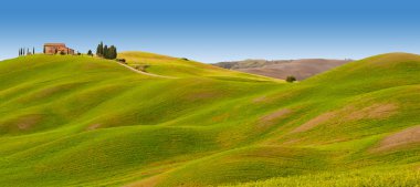 Tuscany, beautiful landcape in Italy clipart