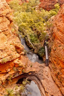 Kings Canyon, Northern Territory, Australia clipart