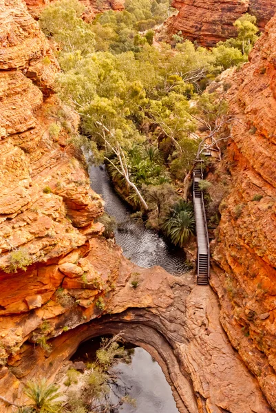 Kings Canyon, Territorio del Nord, Australia — Foto Stock