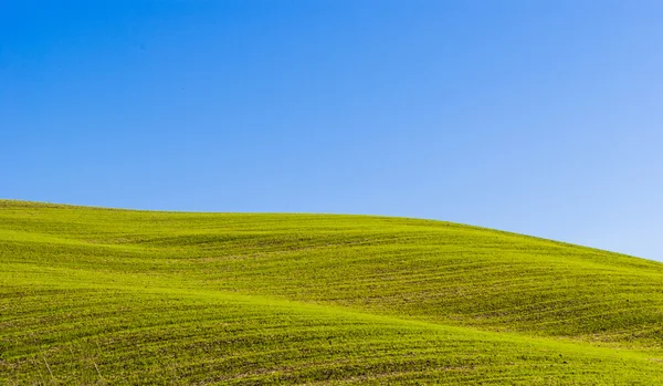 緑の野原と青空の背景 — ストック写真