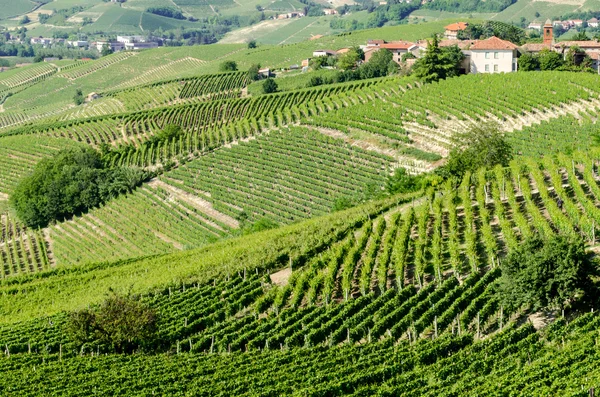 Langhe, región vinícola montañosa en Piamonte, Italia — Foto de Stock