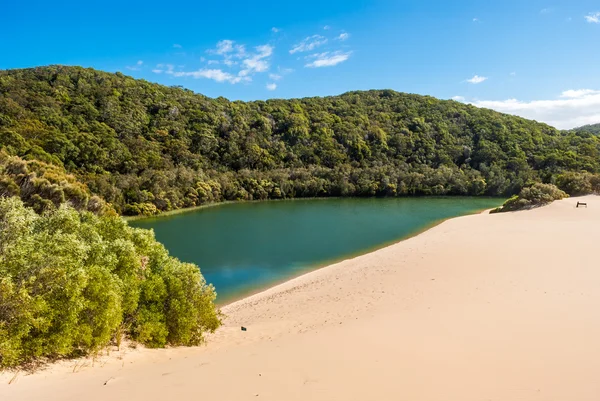 Fraser Island, Lake Wabby, Queensland, Australien — Stockfoto