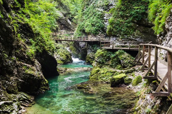 Vintgar gorge, Eslovénia — Fotografia de Stock