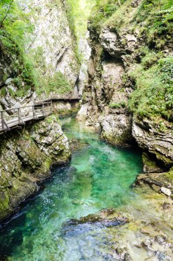 Vintgar Vadisi, Slovenya