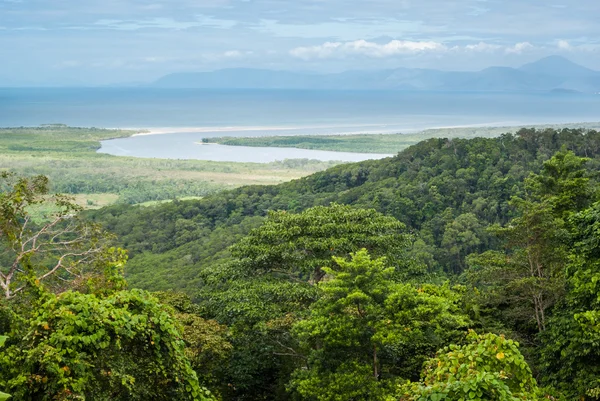 Parco nazionale di Daintree, tribolazione del capo, australia — Foto Stock