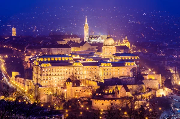 Budapeşte, buda catsle (Kraliyet Sarayı) — Stok fotoğraf