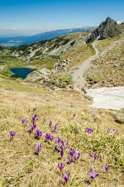 Bulgária, hét rila-tavak — Stock Fotó