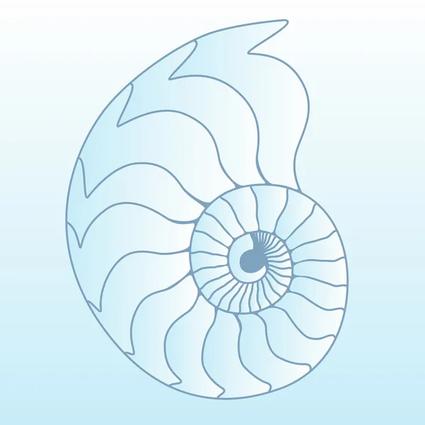 Deniz kabuğu — Stok Vektör