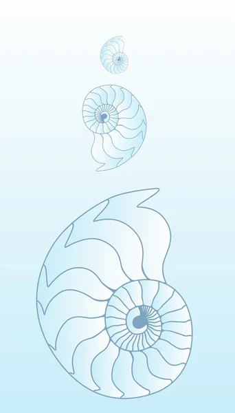 貝殻 — ストックベクタ