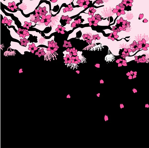 Sakura ág háttér — Stock Vector