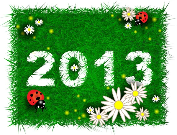 Feliz año nuevo 2013! Hierba, flores y mariquitas — Vector de stock