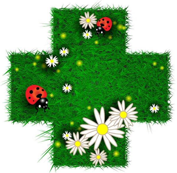 Cross shaped patch of grass with flowers and ladybugs — Stock Vector