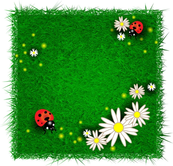 Modello di design con fiori e coccinelle — Vettoriale Stock