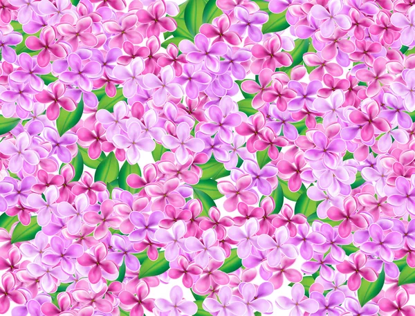 Padrão lilás — Fotografia de Stock