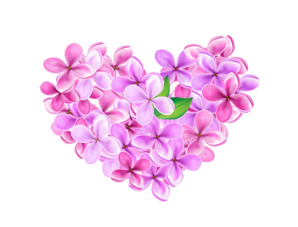 青いライラックストックベクター ロイヤリティフリー青いライラックイラスト Depositphotos