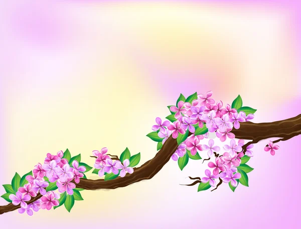 Lilac branch with flowers and leafs — Stock Photo, Image