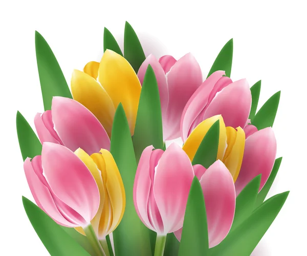 Bouquet de tulipes — Image vectorielle