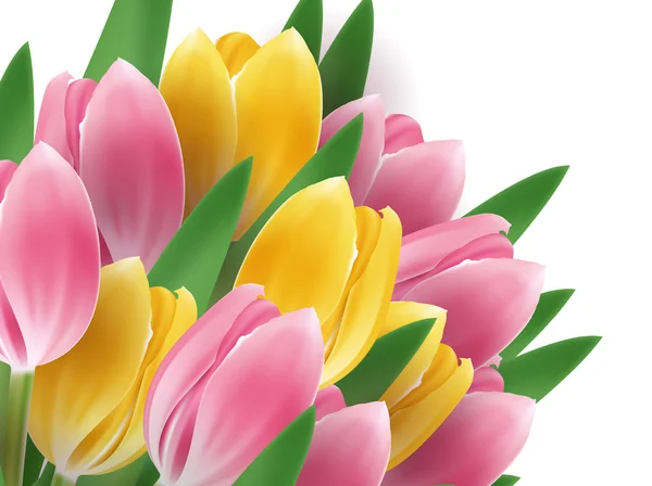 Bouquet di tulipano — Vettoriale Stock
