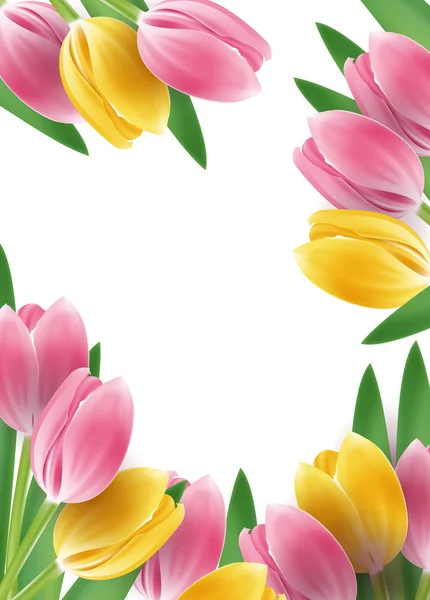 Tulipany szablon lub tła — Wektor stockowy